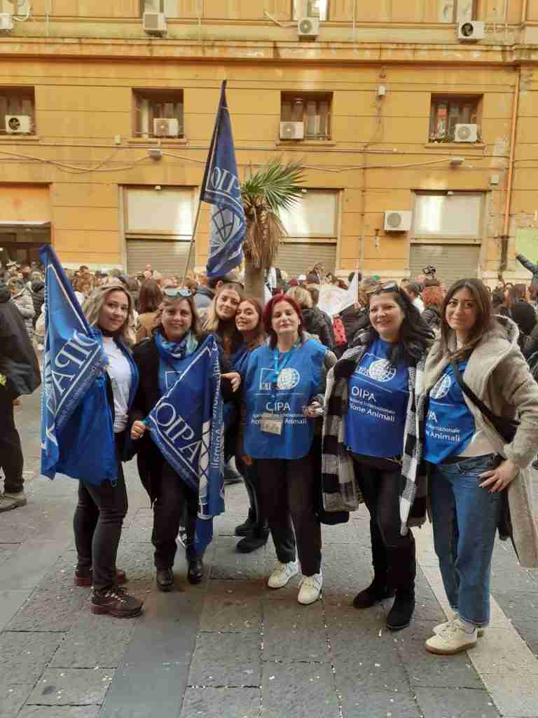 OIPA Vallo di Diano a Napoli: “Canili da svuotare e non da riempire”